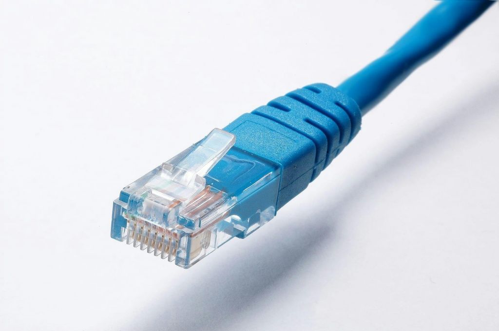 cat cable