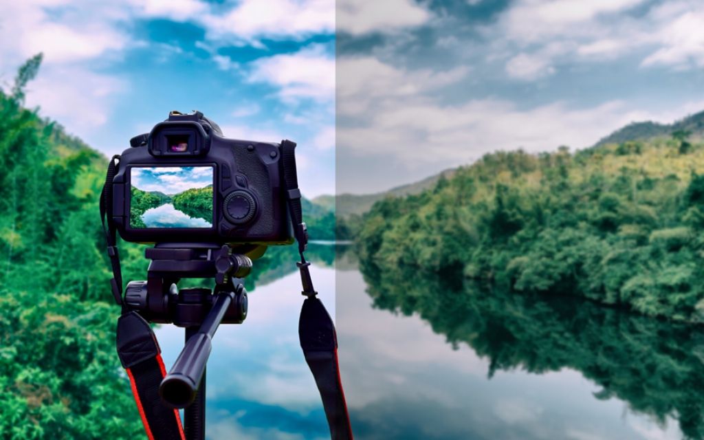 dynamic range